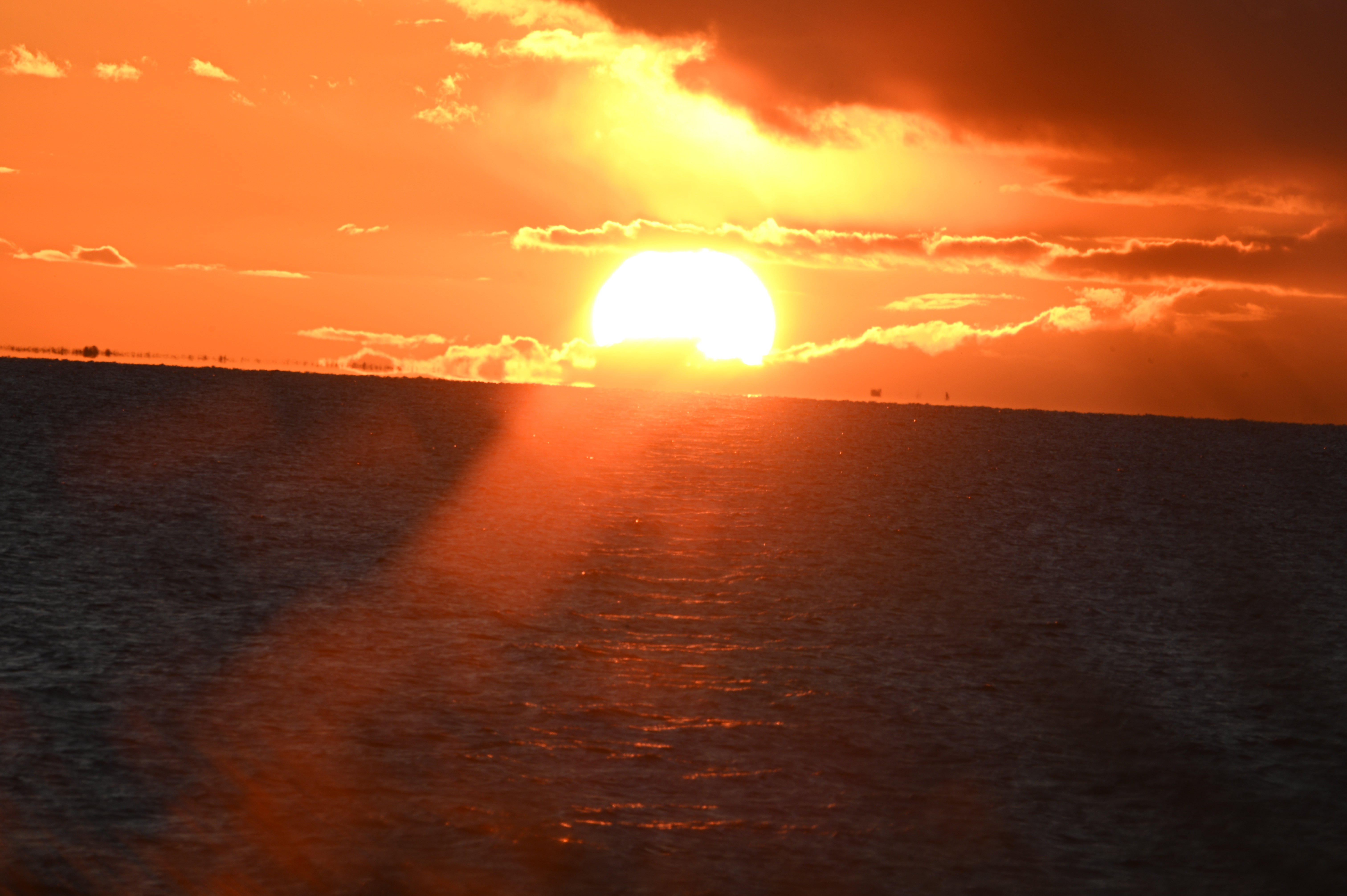 2025/10/18 - walk/DSC_0468.JPG